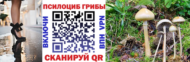 Псилоцибиновые грибы GOLDEN TEACHER  Долгопрудный 