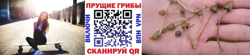 Галлюциногенные грибы ЛСД Долгопрудный
