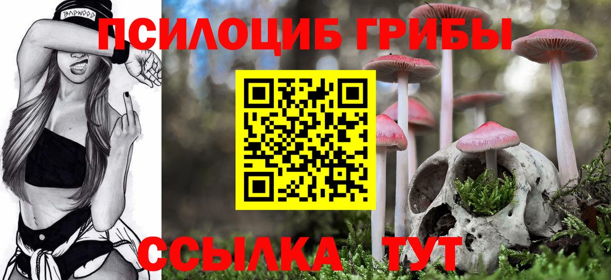 Долгопрудный  Псилоцибиновые грибы Psilocybine cubensis  купить наркоту  Вход с VPN  Псилоцибиновые грибы Magic Shrooms 
