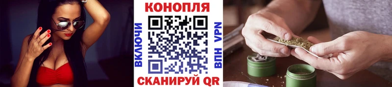 Бошки марихуана семена  наркошоп  Долгопрудный 